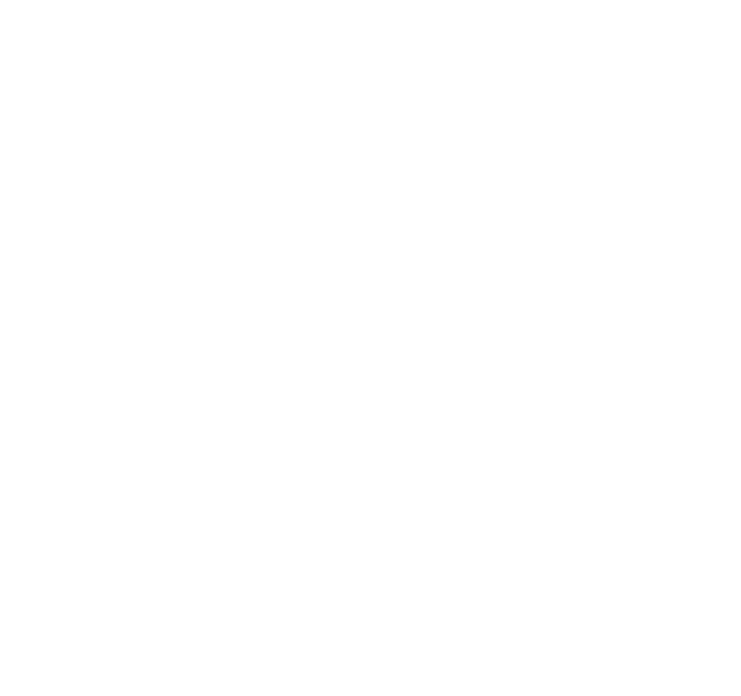 LOGO PDG NAPOLI Small